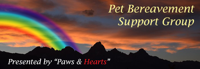 Pet Loss Bereavement Support Group